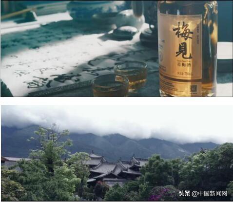 果酒市场迎“新人”？梅见青梅酒或将成为果酒破局者(图6)